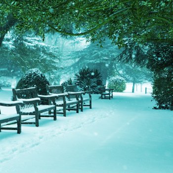 Sicily Dancing in the Snow