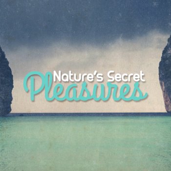 Nature Sounds The Feathers of the River