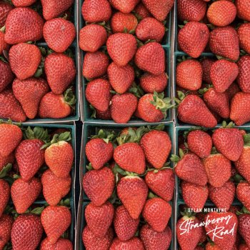 Dylan Montayne Strawberry Road