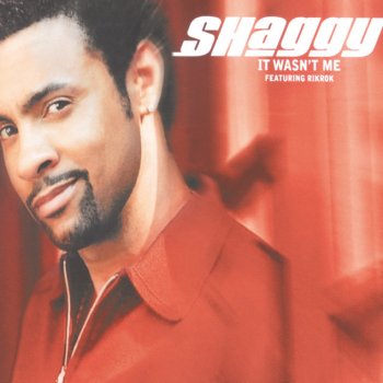 Shaggy feat. Ricardo Ducent It Wasn't Me (Radio Edit)