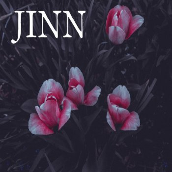 Jinn Radon