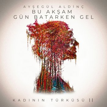 Исполнитель Ayşegül Aldinç, альбом Bu Akşam Gün Batarken Gel (Kadının Türküsü II) - Single