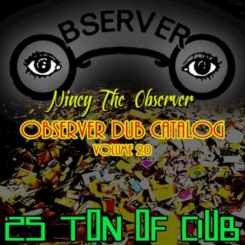 Niney the Observer Mr. Dub