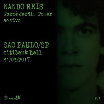 Nando Reis Dois Rios - Ao Vivo