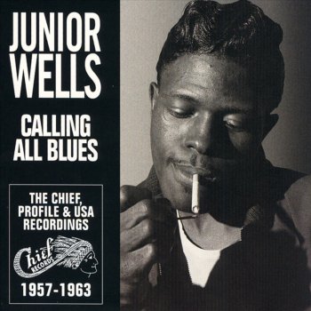 Junior Wells Come On In the House
