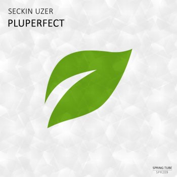 Seckin Uzer Open Air
