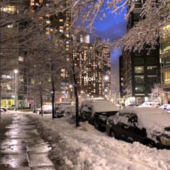 Исполнитель ra1ning, альбом Koi