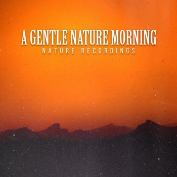 Nature Recordings Iceberg Ferns