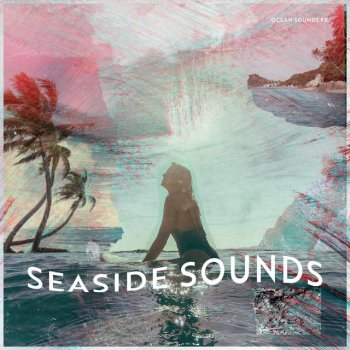 Ocean Sounds FX Ecosystem Sandpiper