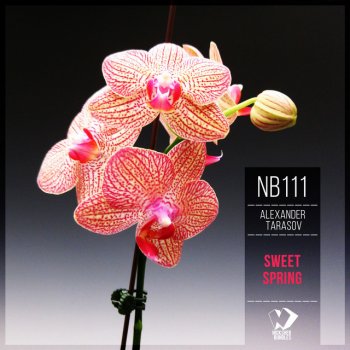 Alexander Tarasov Sweet Spring - Original Mix