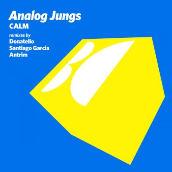 Analog Jungs Calm - Original Mix