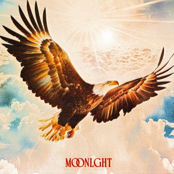 MOONLGHT Free Bird