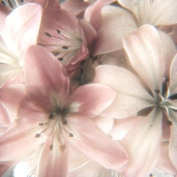 Исполнитель Gasp, альбом MineSweeper