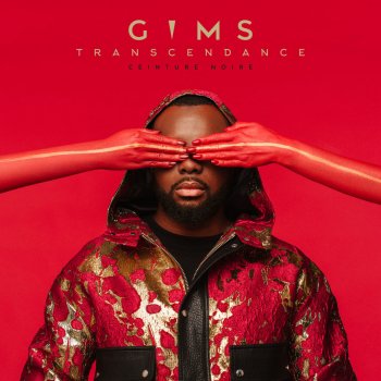 Maître Gims Miami Vice