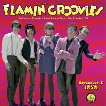 Flamin' Groovies Paint It Black