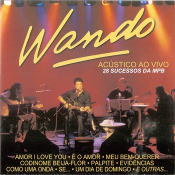 Wando Estou Apaixonado (Estoy Enamorado) (Ao Vivo)