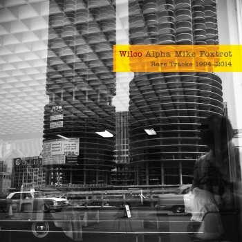 Wilco More Like the Moon
