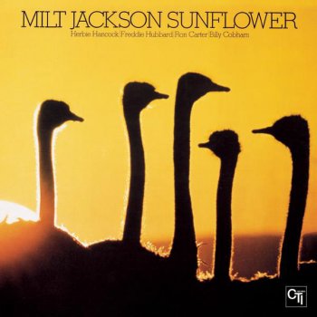 Milt Jackson Sunflower