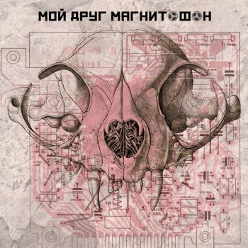 мой друг магнитофон весна-207