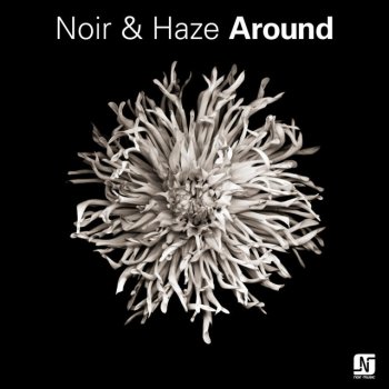 Noir & Haze Around - Acoustic Version