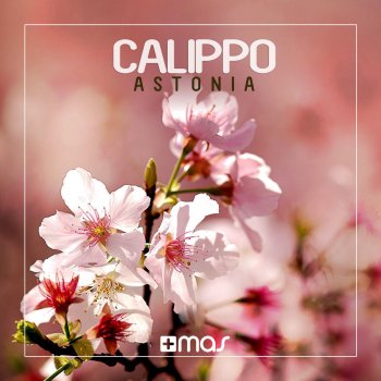 Calippo I Just Go Crazy - Radio Mix