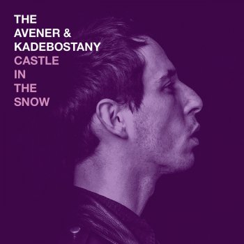The Avener & Kadebostany Castle In the Snow