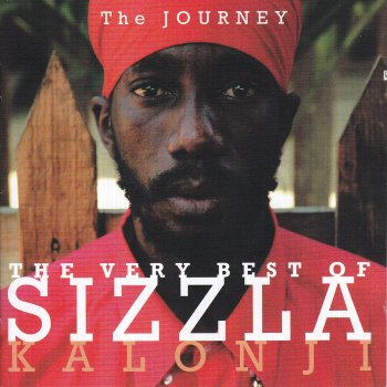 Sizzla The Solution