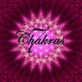 Chakra Meditation Specialists 7 Chakras