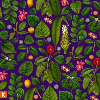 Kings Kaleidoscope Ache