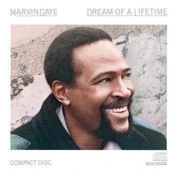 Marvin Gaye Sanctified Lady