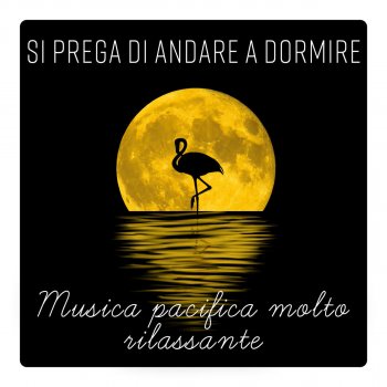 Musica Relax Academia Tecniche di rilassamento