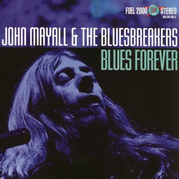 John Mayall Wild About You