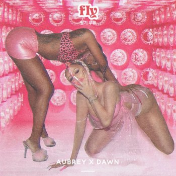 Danity Kane Fly