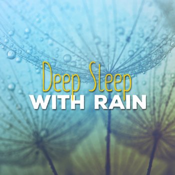 Deep Sleep Rain Sounds Drops on the Pane