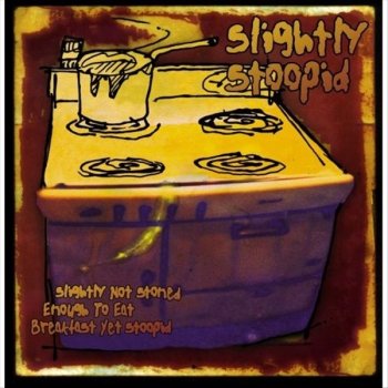 Slightly Stoopid Ain't No Reason