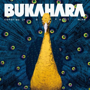 Bukahara Canaries in a Coal Mine