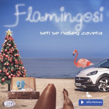 Flamingosi Pustih Suzu Na Tvom Venčanju