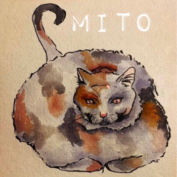 Mito Cat Food and Condoms