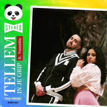 Tellem feat. Numidia In Je Grip (feat. Numidia)