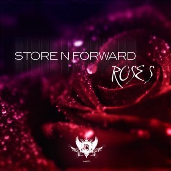 Store N Forward Roses