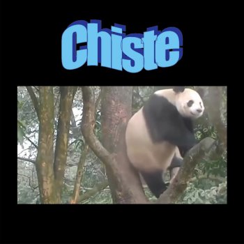 El Kuelgue Chiste