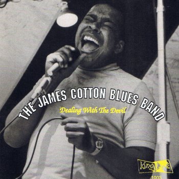 James Cotton There Is Something On Your Mind