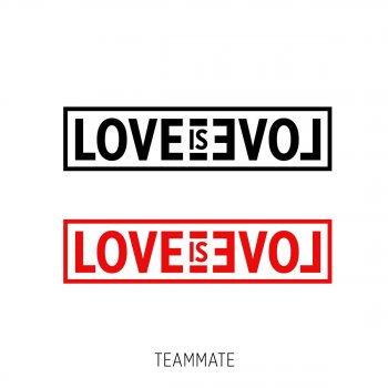 Team​Mate Love Is Love