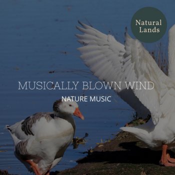 Joyful Nature Wings Birds and You