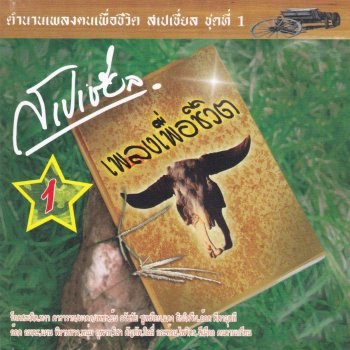 วิสา คัญทัพ พิณ