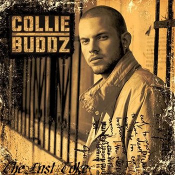 Collie Buddz Shanty Town