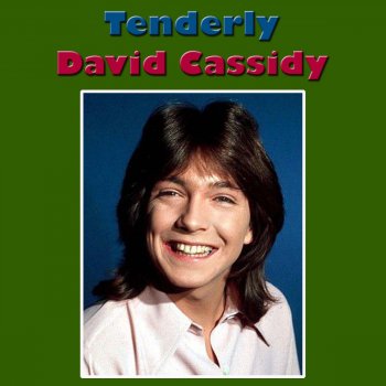 David Cassidy Someone (Live)