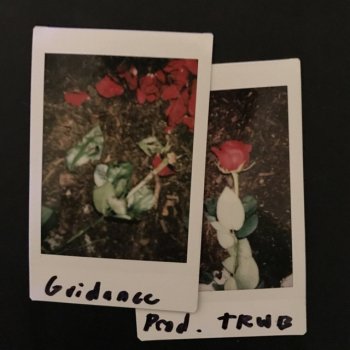 Max Wells feat. TRWB Guidance