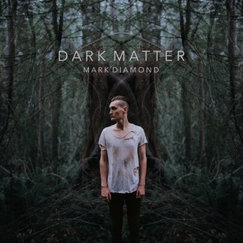 Mark Diamond Dark Matter