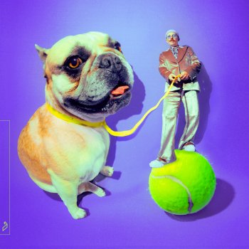 Luttrell French Bulldog